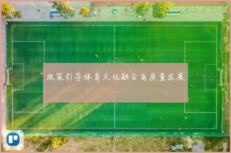 政策引导体育文化融合高质量发展