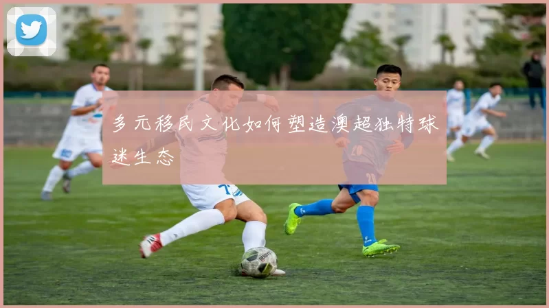 多元移民文化如何塑造澳超独特球迷生态