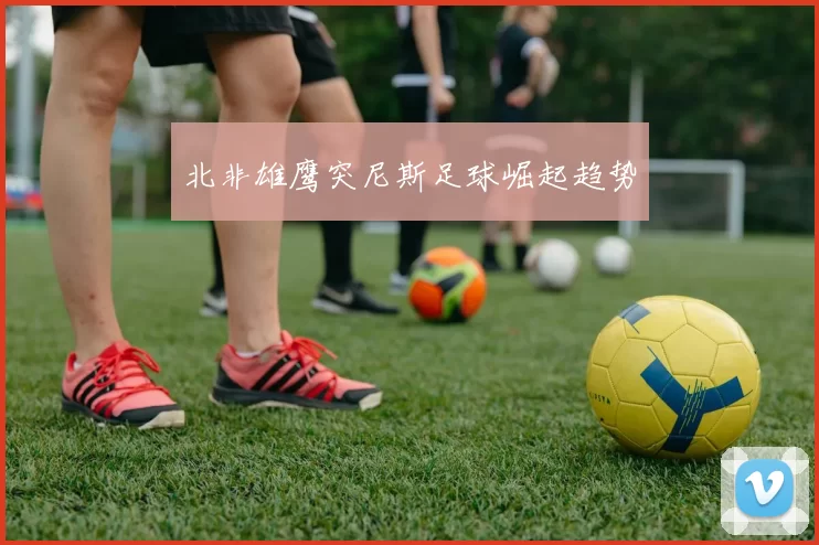 北非雄鹰突尼斯足球崛起趋势