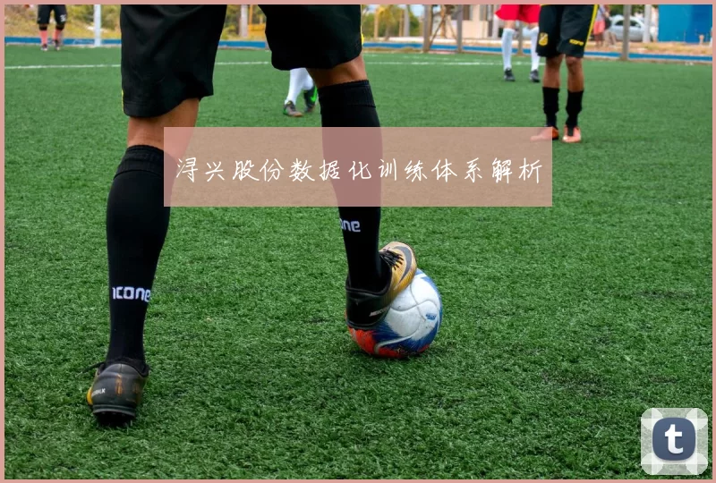 浔兴股份数据化训练体系解析