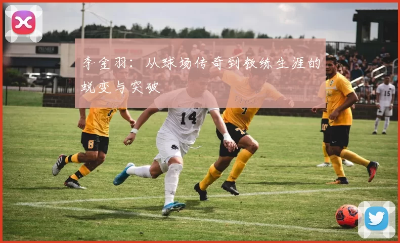 李金羽：从球场传奇到教练生涯的蜕变与突破